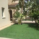 فيلة Kristia